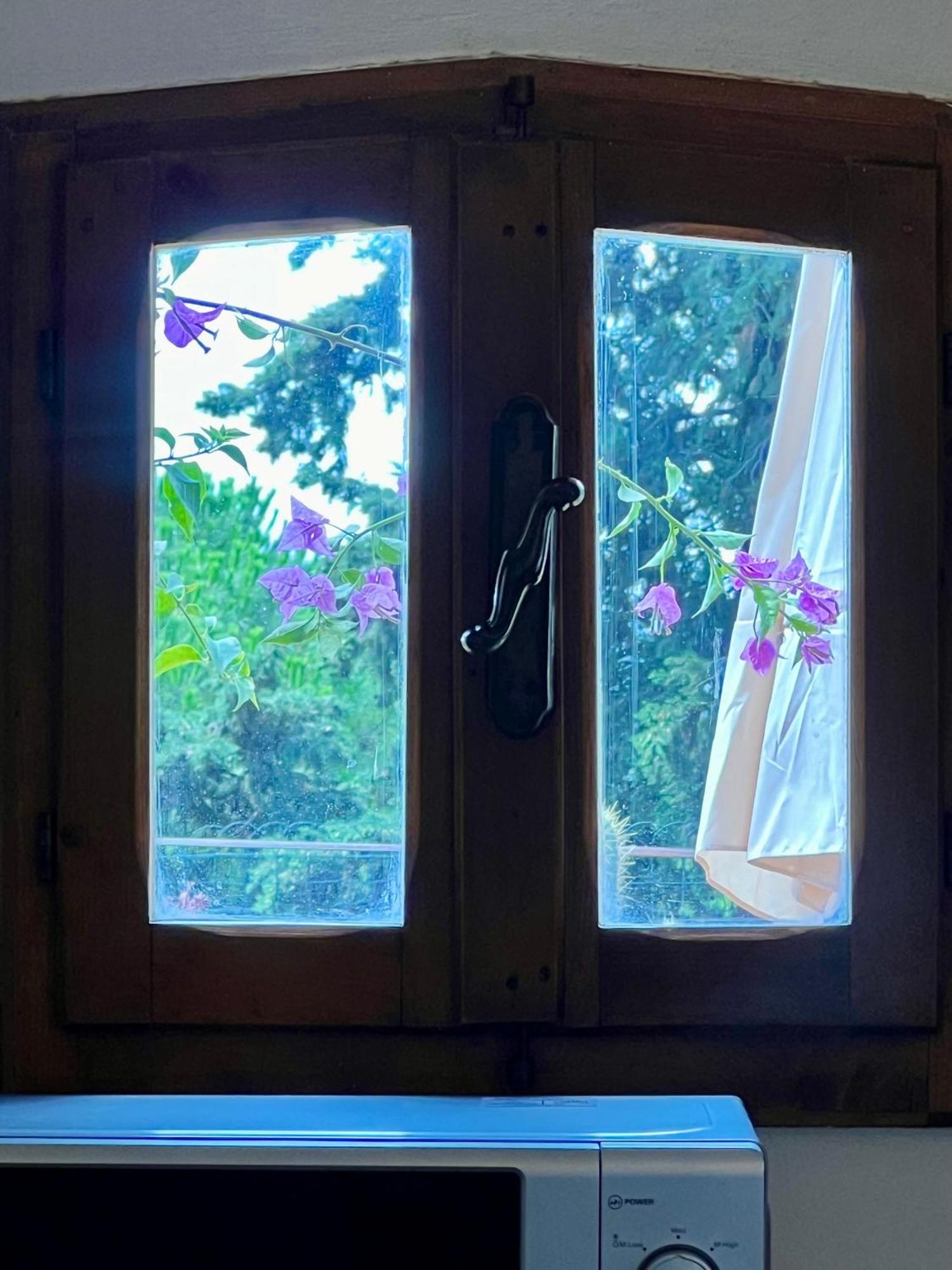 Apartament Le Viole San Gimignano Zewnętrze zdjęcie
